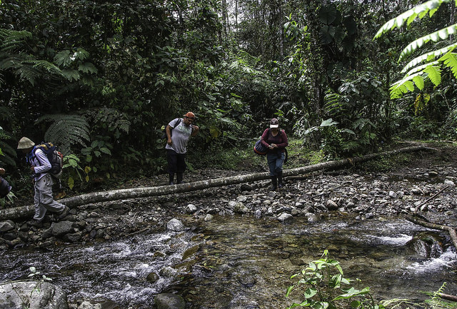 Lloa Ecuador